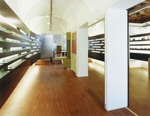 Forster Optik