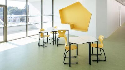 Perfekte Lernvoraussetzungen in der Schule