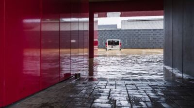 Verlässlicher Schutz in seiner schönsten Form