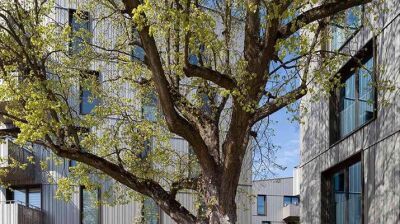 Gebäudehülle aus Recyclingalu