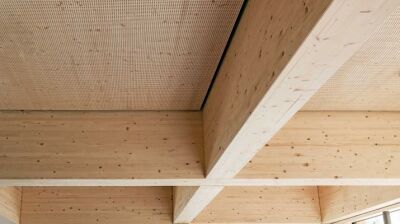 Raumakustik-Optimierung mit Massivholz