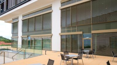 Viel Licht und gesunder Schatten