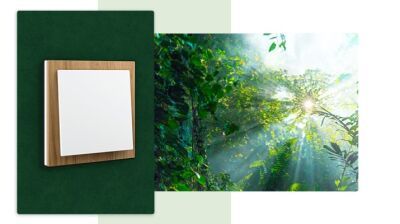 Vielfalt der Nachhaltigkeit