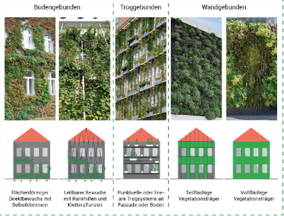 Varianten der begrünten Fassadengestaltung © GRÜNSTATTGRAU Forschungs- und Innovations-GmbH