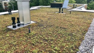 Gründach - die natürliche Klimaanlage der Stadt