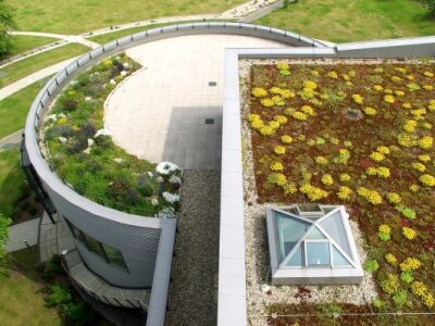 Begrünte Dachsysteme