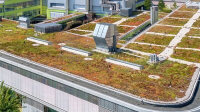 Natürliche Vielfalt am Dach: einfach grün!
