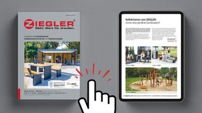 Neuheiten aus dem ZIEGLER-Handbuch 2024