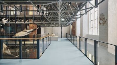 Eintauchen in die faszinierende Unterwasserwelt