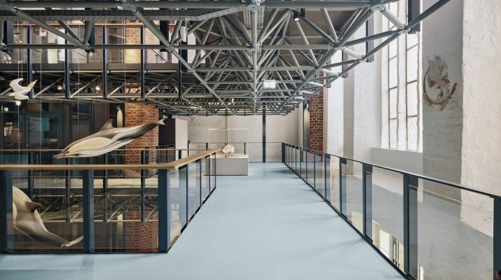 Eintauchen in die faszinierende Unterwasserwelt