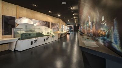 Nachhaltiges Museumserlebnis zum Mitmachen