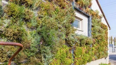 Die smarte Lösung zur Fassadenbegrünung