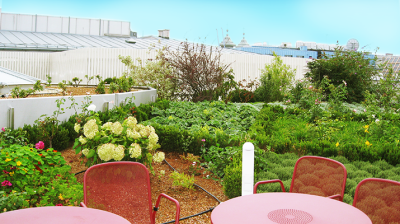 Der Mehrwert am Dach