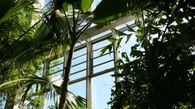 HAHN Lamellenfenster im Gewächshausbau