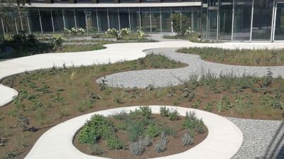 Aquasol Randbegrenzung im Legero Headquarter